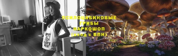 не бодяженный Иннополис