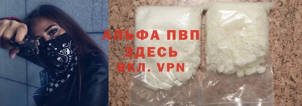 твердый Инсар