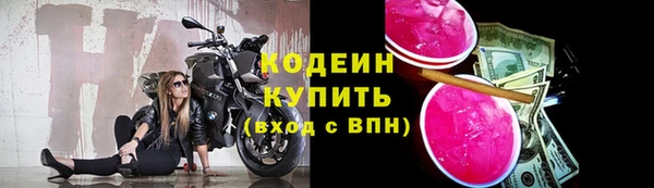 молекула духа Инта