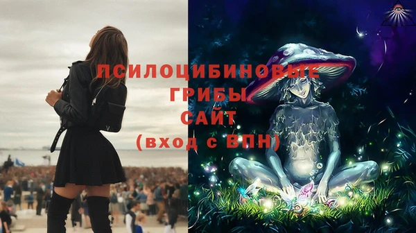 не бодяженный Зеленодольск