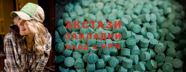 твердый Инсар